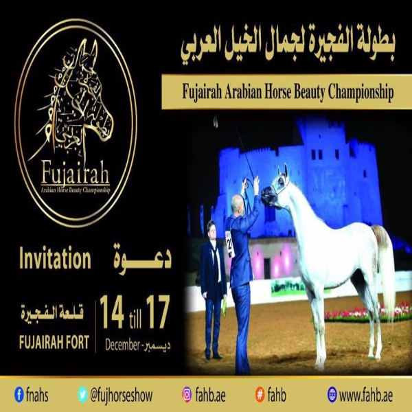 Fujairah Arabian Horse Beauty Championship